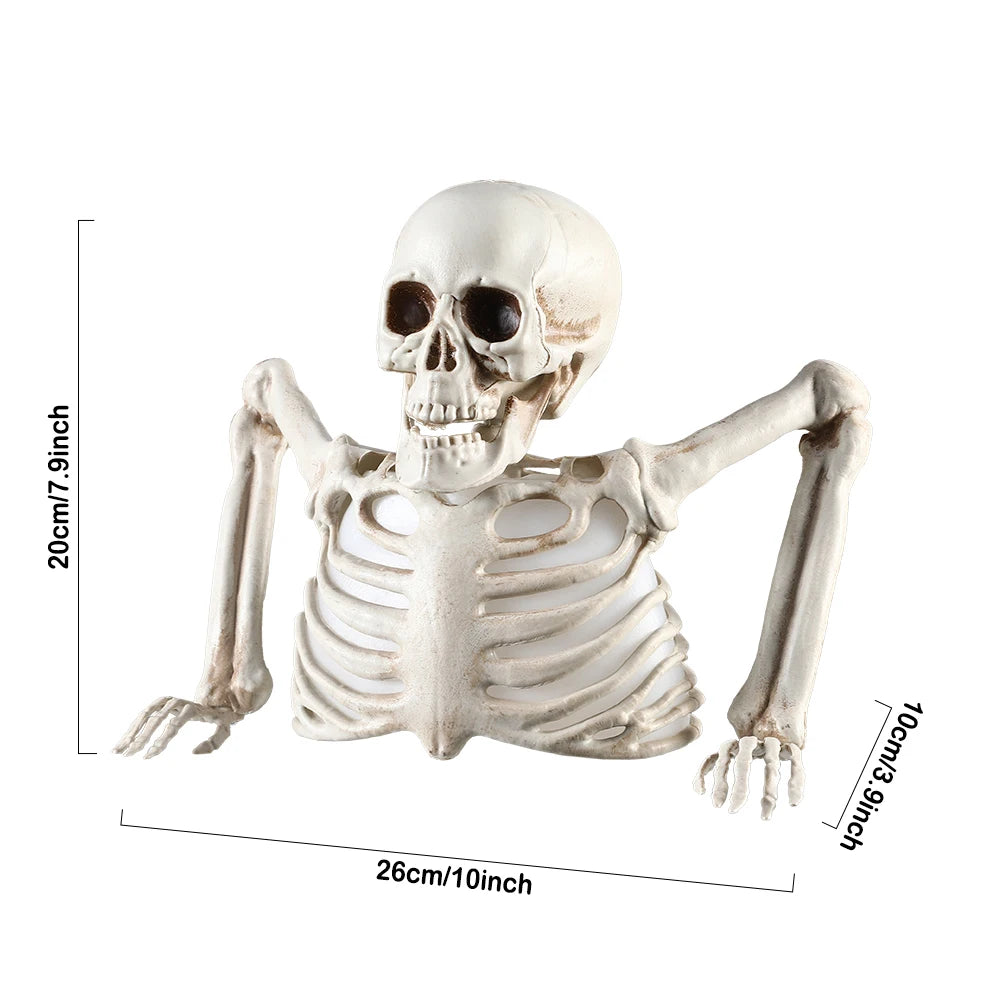 Glowing Skull Halloween Decoration